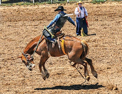 Canadian's Fourth of July Rodeo